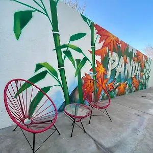 Panda Auberge de jeunesse